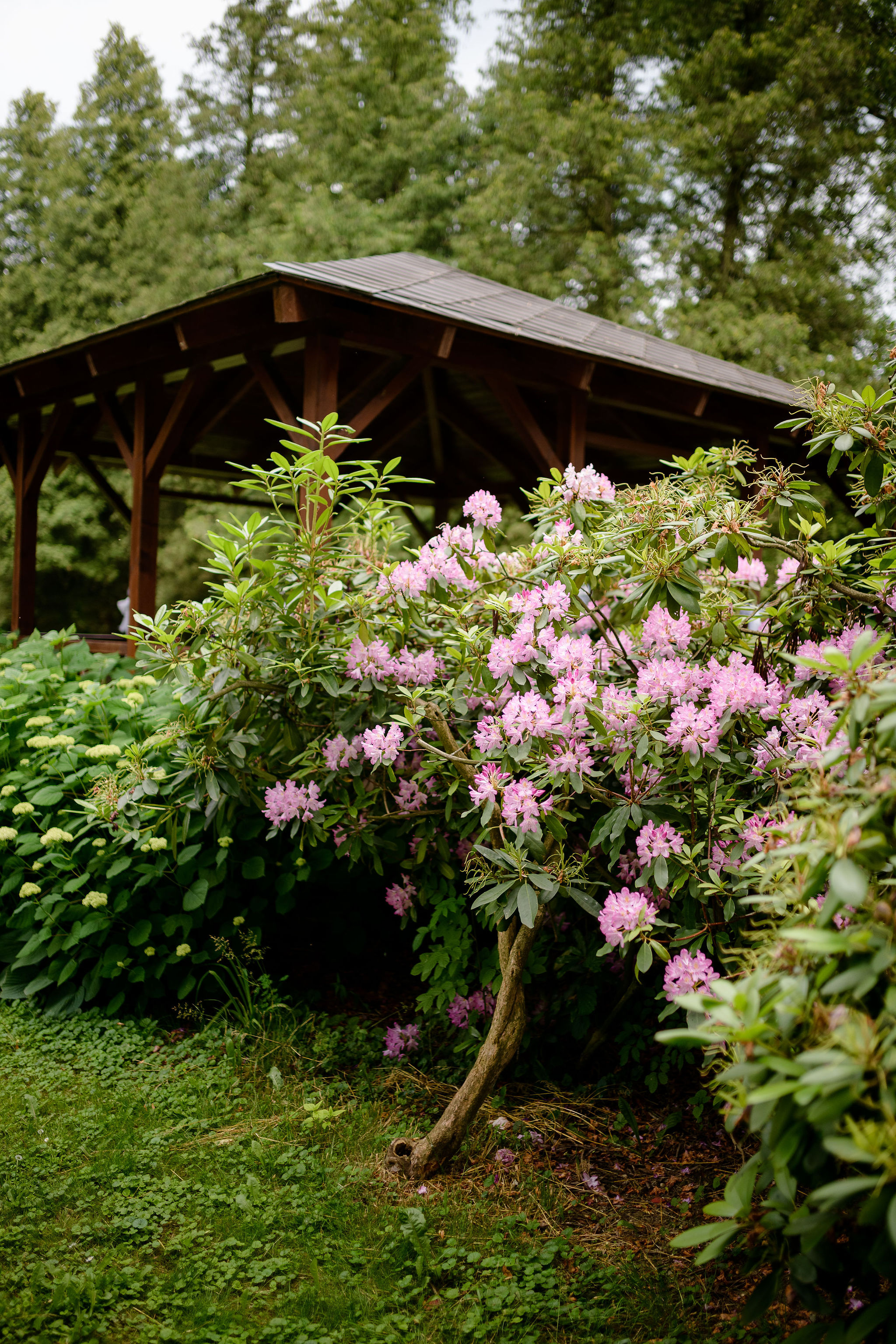 svatební altán s rododendrony na svatebním místě U Slámy na Opavsku